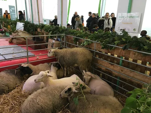 Une journée 100% Côte d’Or ce mardi sur le salon de l’agriculture 